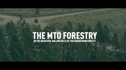 Scenic MTO Forestry